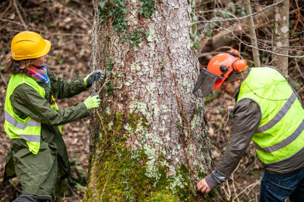 Seasonal Cleanup in Enlow, PA